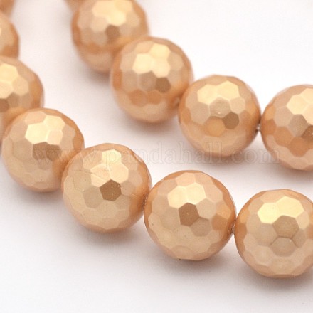 Round Shell Pearl Bead Strands BSHE-M009-6mm-02-1