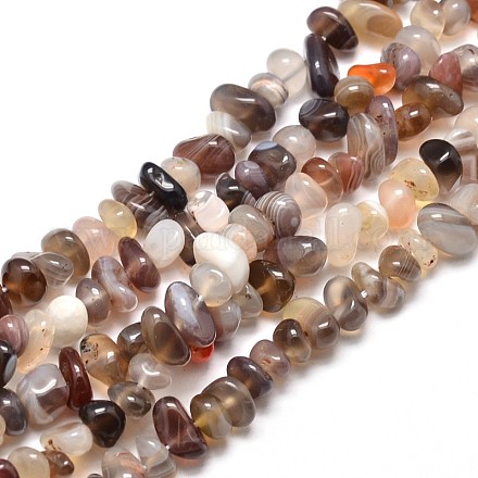 Natural Botswana Agate Chip Beads Strands X-G-E271-104-1