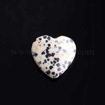 Natural Dalmatian Jasper Love Heart Stone PW-WG32553-05-1