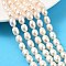 Natural Cultured Freshwater Pearl Beads Strands, Rice, Grade 4A, Old Lace, 7~8mm, Hole: 0.7mm, about 38~39pcs/strand, 13.78~13.98''(35~35.5cm)