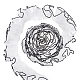 ポリエステルプリーツレーストリム  ウェーブのリボン  服飾材料  ホワイト  1-5/8インチ（40mm）  6ヤード/個  1個/箱 SRIB-FG0001-08-1