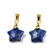 Breloques naturels lapis-lazuli G-N326-142-02-1