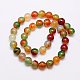 Natural Peacock Agate Beads Strands G-G444-8mm-02-2