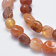 Chapelets de perles en cornaline naturelle G-F547-04-A-3