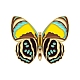 Брошь из сплава бабочка с эмалью PW-WG67732-04-1