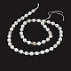Brins de perles de pierre de lune arc-en-ciel naturel G-O201B-16-2