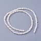 Chapelets de perles de coquillage SSHEL-E571-39-4mm-2