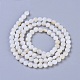 Perles de coquillage blanc naturel G-I249-A38-2