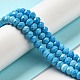 Dyed Natural Howlite Beads Strands G-G023-A01-01B-2