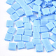 2-Hole Opaque Glass Seed Beads SEED-S023-09D-1