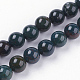 Chapelets de perles en pierre de sang naturelle G-N0120-25-10mm-1