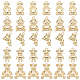 CHGCRAFT 30Pcs 5 Style Gold Bear Charm Cute Dancing Bear Charms Tiny Bear Pendant Rack Plating Bear Charms for Bracelet Necklace Earrings Jewellery Making FIND-CA0004-40-1