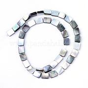 Натуральные черные нити из бисера SHEL-S249-34