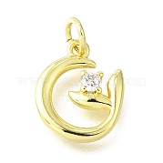 Латунные микро проложить кубического циркония подвески KK-V007-23G