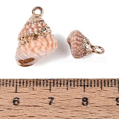 電気メッキナチュラルスパイラルシェルペンダント  金色の鉄製ループと真鍮製の縁取りが施された、巻貝のチャーム。  砂茶色  11~18.5x7~12.5x7~13mm  穴：1.2~1.8mm&nbsp;SSHEL-Q100-37G