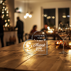 Акриловое украшение DJEW-WH0591-011