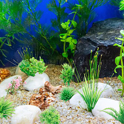 9шт 9 стиля пластиковых искусственных аквариумных растений&nbsp;DJEW-DR0001-10