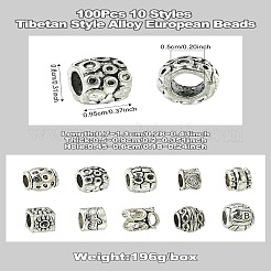 100шт 10 стиля европейские бусины из сплава в тибетском стиле&nbsp;FIND-CJ0003-72