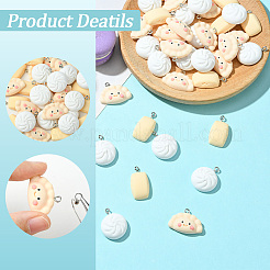 48шт 3 стиля непрозрачные подвески из смолы CRES-SC0003-10