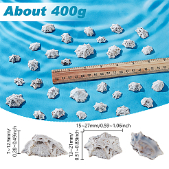 400 г натуральных ракушечных бусин SHEL-GA0002-31