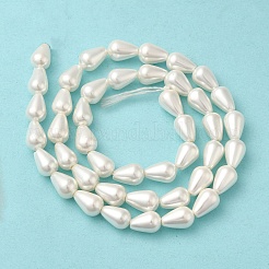 Chapelets de perles en coquille électrolytique&nbsp;BSHE-G010-6x9mm-01A