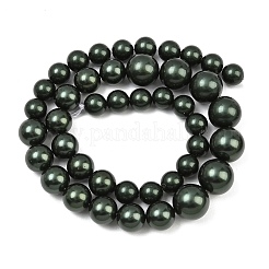 Rangs de perles de nacre de coquillage électroplaquées de taille dégressive&nbsp;BSHE-C011-04-02