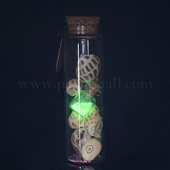Стеклянные бутылки желающих DJEW-J001-02