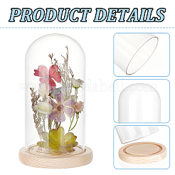 Copertura a cupola in vetro&nbsp;AJEW-WH0348-295I