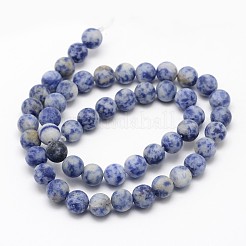 Fili di perline rotondi di diaspro blu naturale&nbsp;G-D679-12mm