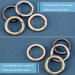 8 шт. 4-цветные застежки-пружинки из сплава FIND-PH0002-45