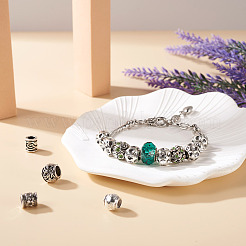 100шт 10 стиля европейские бусины из сплава в тибетском стиле FIND-CD0001-34