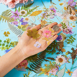 4 пакетик 4 видов самоклеящихся водонепроницаемых наклеек для растений и животных&nbsp;DIY-TA0009-84