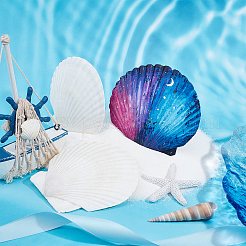 Zubehör für die natürliche Muschelmalerei&nbsp;DIY-WH0225-95