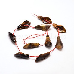 Tigre naturale fili Perle&nbsp;G-E254-07-34x15mm