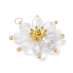 Стеклянные подвески&nbsp;PALLOY-MZ01143-03