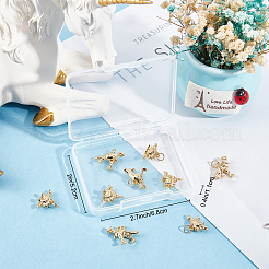 10 шт. KK-BBC0004-61