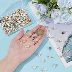 120шт 2 цвета подвески из натуральных ракушек FIND-ME0002-50