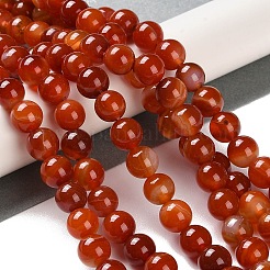 Натуральные полосатые агатовые / полосатые агатовые бусинки X-G-Z060-A01-B05