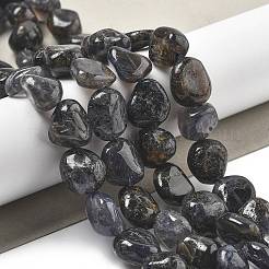 Природные иолит нитей бисера G-C179-F06-01