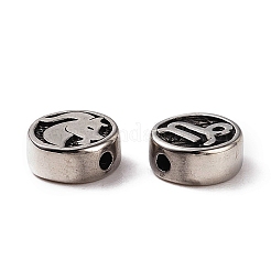 Billes en acier inoxydable 304&nbsp;LS-STAS-H156-01H