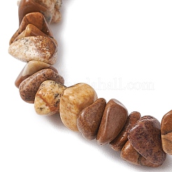 Натуральная картина яшма бусины эластичные браслеты для мужчин и женщин BJEW-JB11845