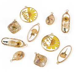 10шт 5 стиля подвески из эпоксидной смолы&nbsp;FIND-TA0008-97