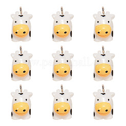 Пластиковые подвески&nbsp;KY-CJC0001-08