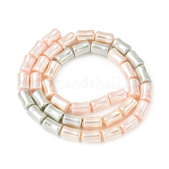 Нити бусин из гальванизированного непрозрачного стекла&nbsp;EGLA-H113-07C