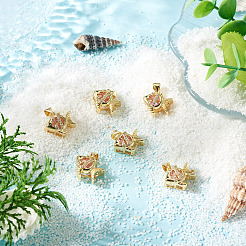 6pcs pendentifs en laiton micro pavé de zircone cubique&nbsp;KK-TA0009-09B