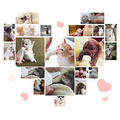 Пластиковая многоразовая бутылочка для кормления домашних животных CON-WH0062-17