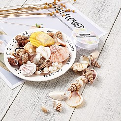 Gemischte Muschelperlen&nbsp;BSHE-TA0002-05