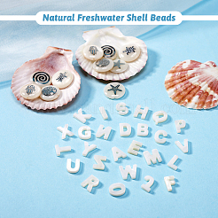 Бусины из натуральных пресноводных ракушек SHEL-TA0001-01