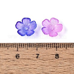 Capuchons de perles en plastique transparent&nbsp;KY-Q005-02A-05