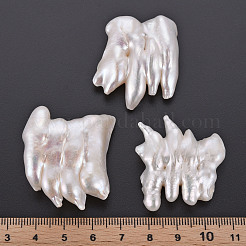 Perles de perles keshi naturelles&nbsp;PEAR-N020-E01